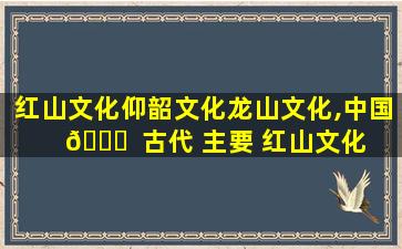 红山文化仰韶文化龙山文化,中国 🐎  古代 主要 红山文化 仰韶 龙山